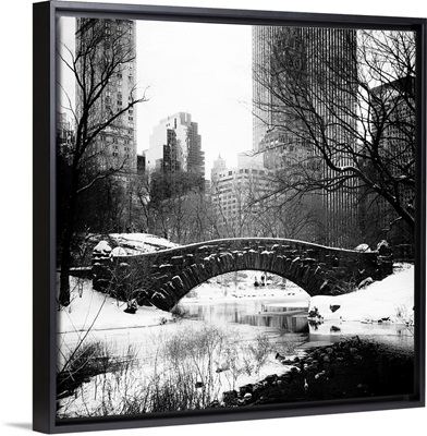 New York City - Central Park under snow