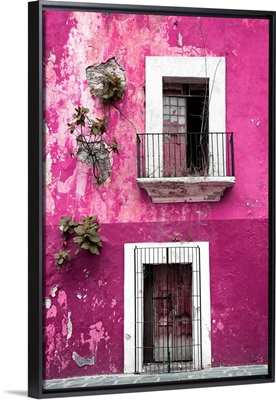 Pink Wall