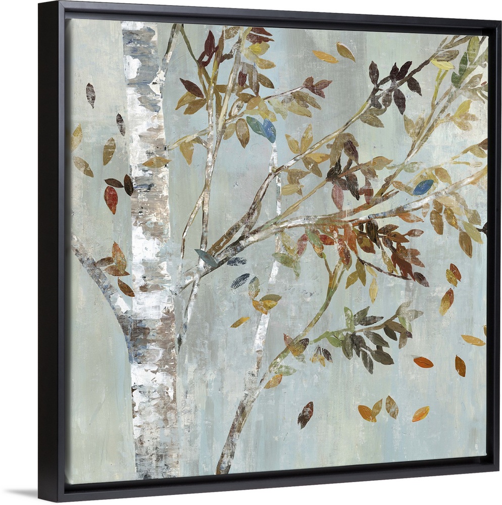 A birch tree with leafy branches in the fall.