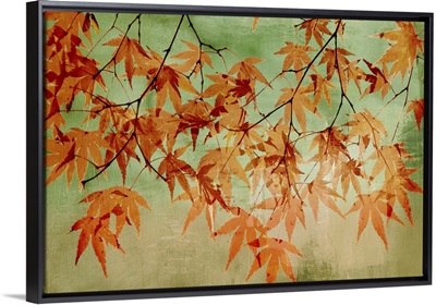 Canopy