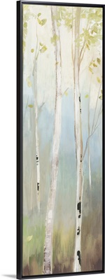 Golden Birch II