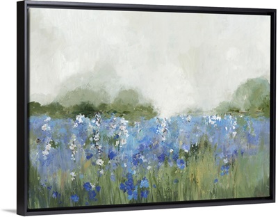 Meadow Bluebells Field