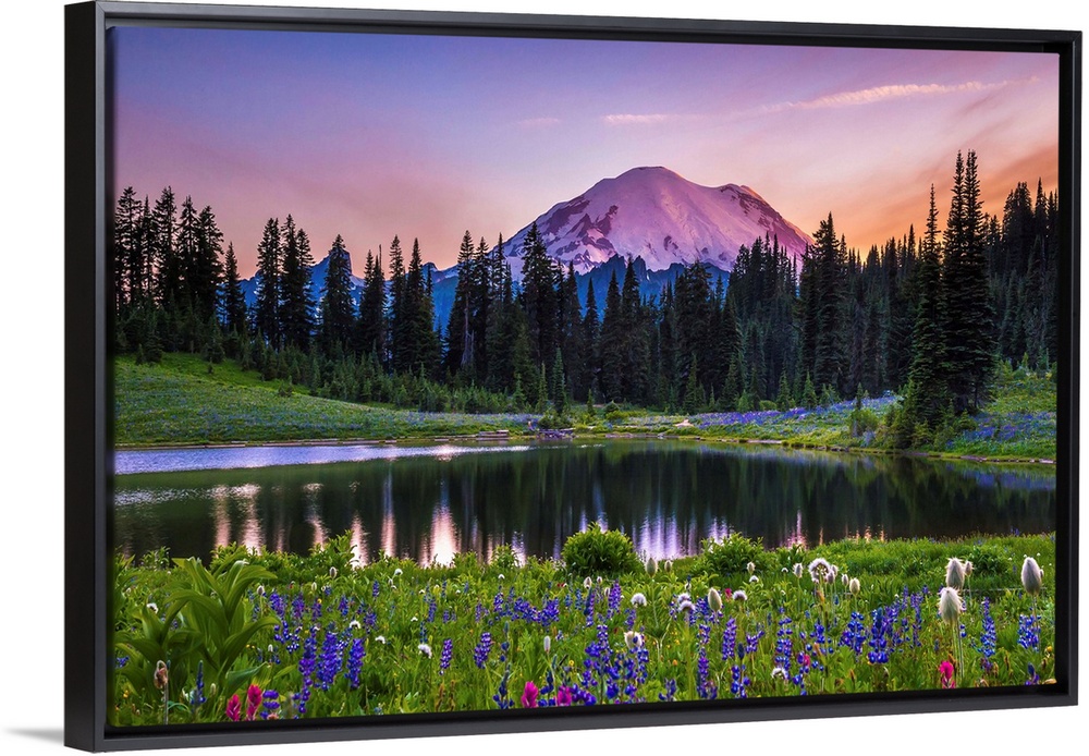 Flowers along the edge of a lake with Mount Rainier in the distance, at sunset.