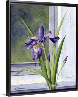 Blue flag - wild iris