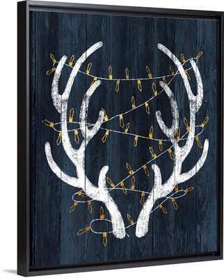Antlers & Lights