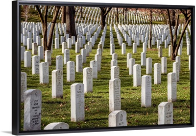 Arlington National Cemetery