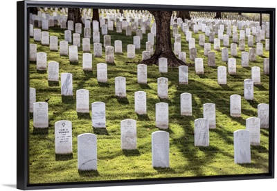 Arlington National Cemetery