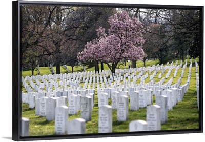Arlington National Cemetery in the Spring