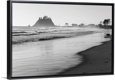 Black and White La Push Beach Shore, Washington, USA