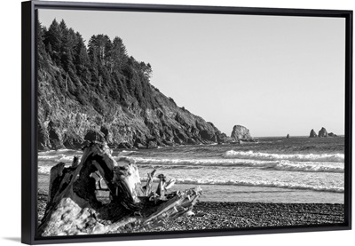 Black and White Landscape at La Push Beach, Washington