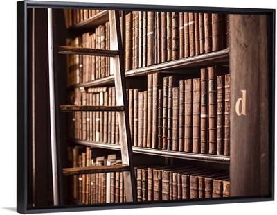 Book Shelves and Ladder, Trinity College Library, Dublin, Ireland, UK