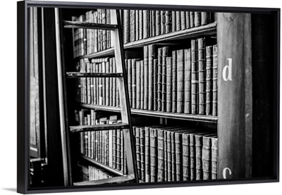 Book Shelves and Ladder, Trinity College Library, Dublin, Ireland, UK