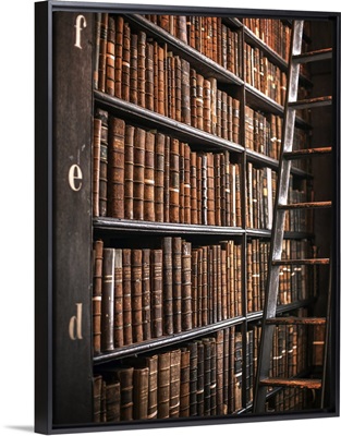 Book Shelves and Ladder, Trinity College Library, Dublin, Ireland, UK - Vertical