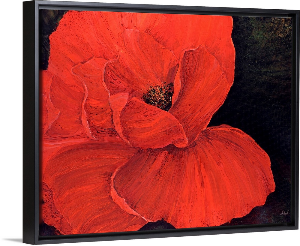A decorative accent for the home or office this painting is a poppy with its petals spread wide on a dark backdrop.
