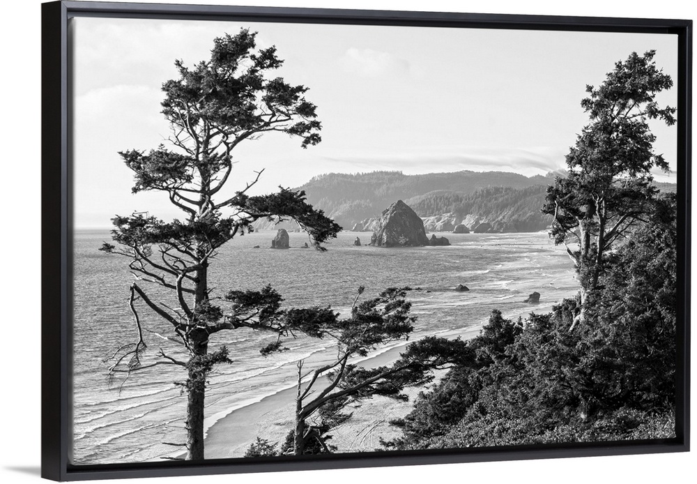 Black and white landscape photograph of Cannon Beach through the trees with Haystack Rock in the distance, Oregon Coast