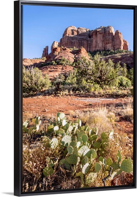 Cathedral Rock, Sedona, Arizona