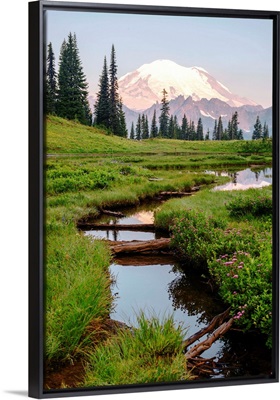 Chinook Creek, Mount Rainier National Park, Washington
