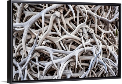 Close Up Of Elk Antlers In Jackson Town Square, Wyoming