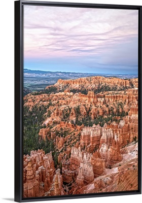 Colorful hoodoos and pine trees at dusk in Bryce Canyon, Utah