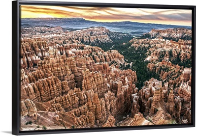 Colorful hoodoos and pine trees at sunset in Bryce Canyon, Utah