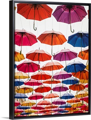Colorful Umbrellas in Bath, England, UK - Vertical