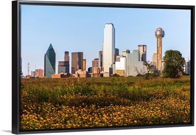 Dallas Skyline With Wildflowers, Texas