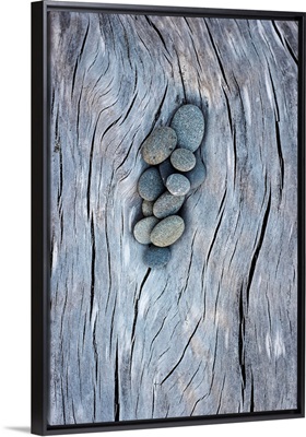 Driftwood and Rocks III