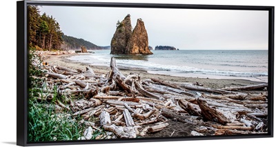 Driftwood At Rialto Beach, Olympic National Park, Washington