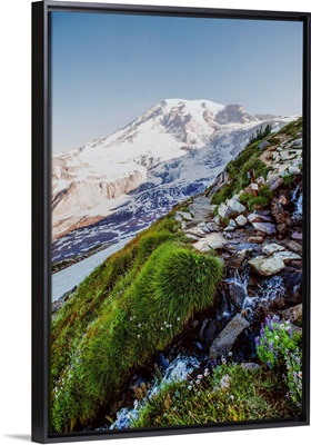 Edith Creek, Mount Rainier, Washington