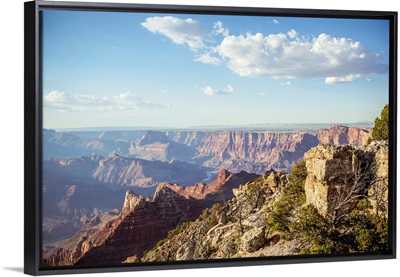 Elevated View Of Canyon Near Desert View Watchtower, Grand Canyon National Park, Arizona