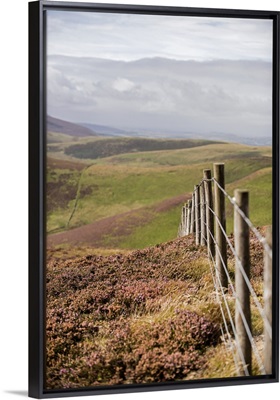 Fence Through Rolling Hills, Edinburgh - Verical