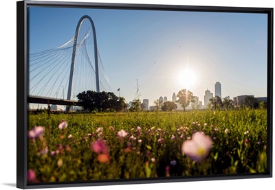 Field Of Flowers Near Margaret Hunt Hill Bridge, Dallas, Texas