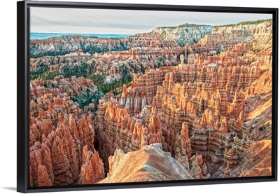 Fiery orange hoodoo rock formations in Bryce Canyon Amphitheater, Utah