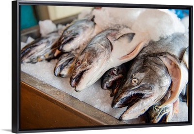 Fish At Farmer's Market In Seattle, Washington