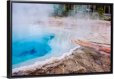 Fountain Paint Pot, Yellowstone National Park