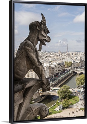 Gargoyle Watching Over Paris II