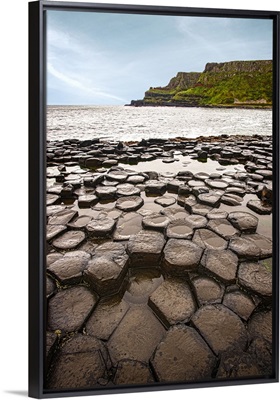Giant's Causeway, Basalt Columns, Ireland - Vertical