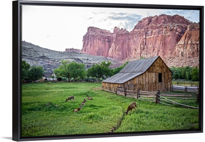 Gifford Homestead at Capitol Reef National Park