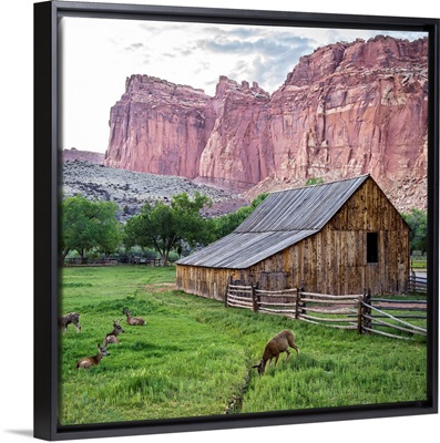 Gifford Homestead at Capitol Reef National Park