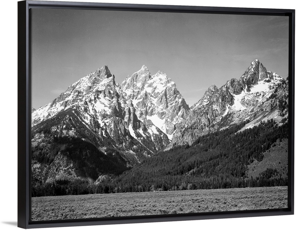 Grand Teton, grassy valley, tree covered mountain side and snow covered peaks.