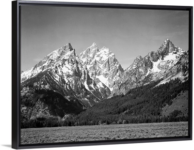 Grand Teton, Grassy Valley, Tree Covered Mountain Side And Snow Covered Peaks
