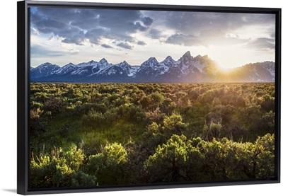 Grand Teton National Park at Golden Hour.