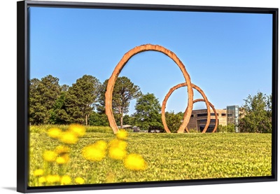 Gyre, large scale sculpture at the North Carolina Art Museum