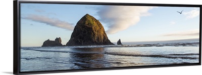 Haystack Rock with Bird Flying - Panoramic