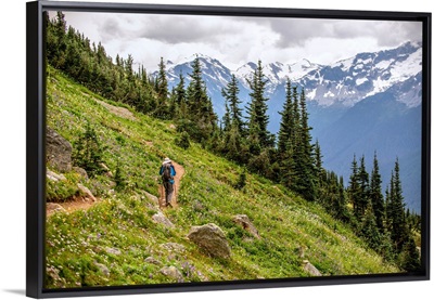 High Note Trail, Whistler Mountain, British Columbia, Canada