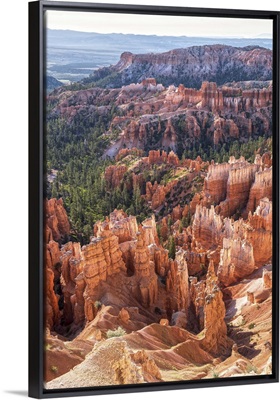 Hoodoos and forests in Bryce Canyon Amphitheater, Utah