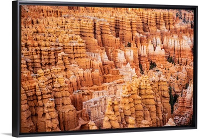 Hoodoos At Bryce Canyon National Park, Utah