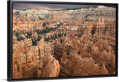 Hoodoos in the Amphitheater of Bryce Canyon National Park, Utah