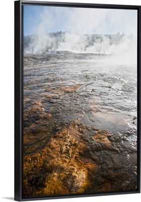 Hot Springs at Yellowstone