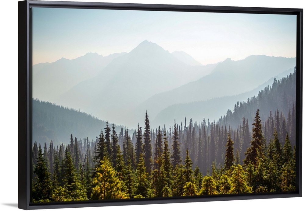 View of Hurricane Ridge with Mount Angeles in the background, Olympic National Park, Washington.
